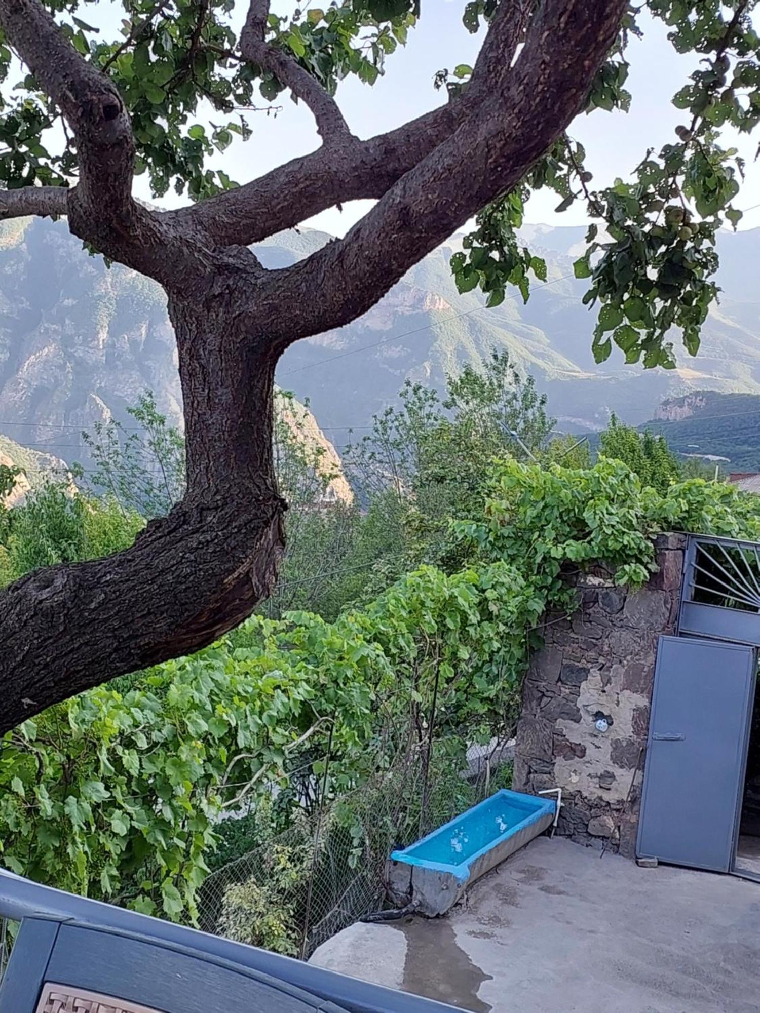 Igor Bed And Breakfast Halidzor Exterior photo